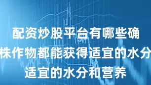 配资炒股平台有哪些确保每一株作物都能获得适宜的水分和营养